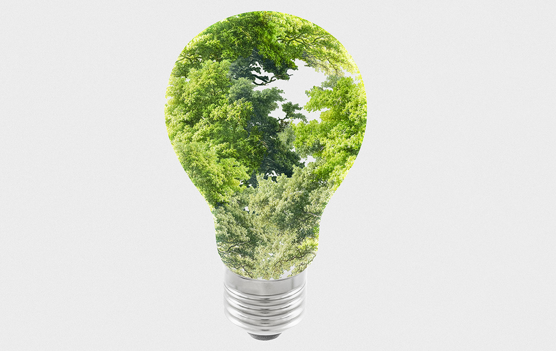 tree-lightbulb.jpg