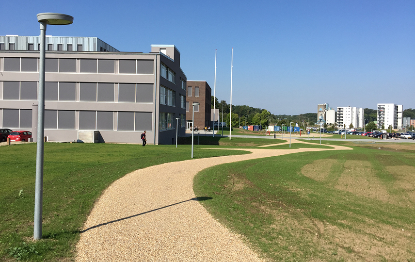 Lillebælt Academy